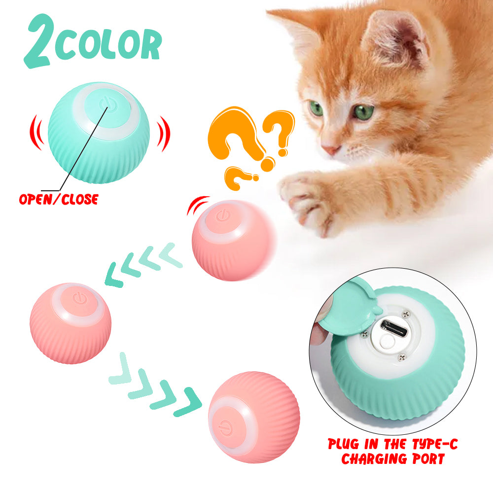 Pawtastic™ - Cat Electric Ball